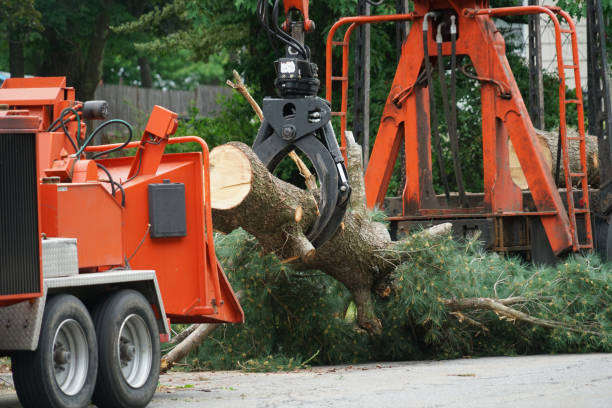 Best Firewood Processing and Delivery  in Loganville, PA